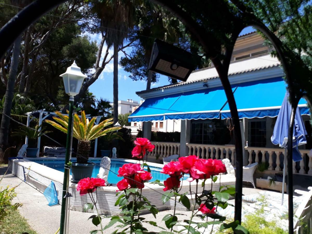 Matias Pool And Beach * Playa de Palma (Mallorca)