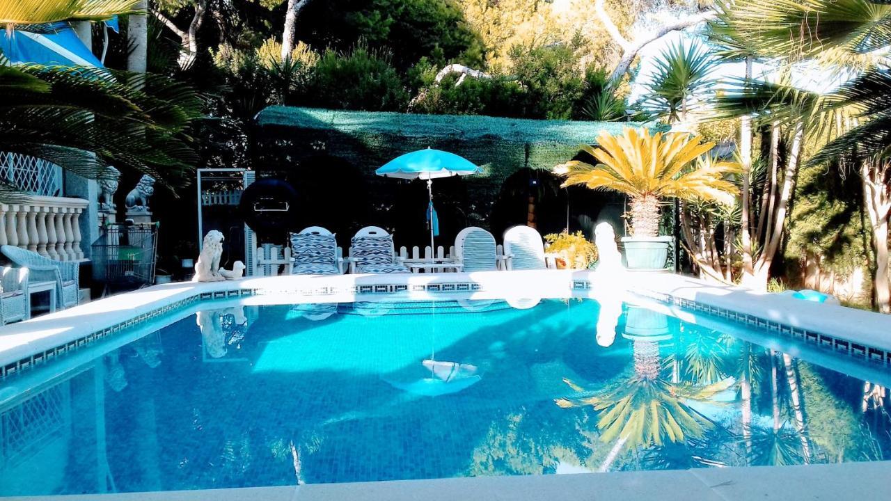 Matias Pool And Beach